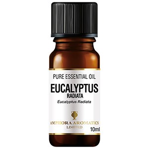 Eucalyptus Radiata Essential Oil
